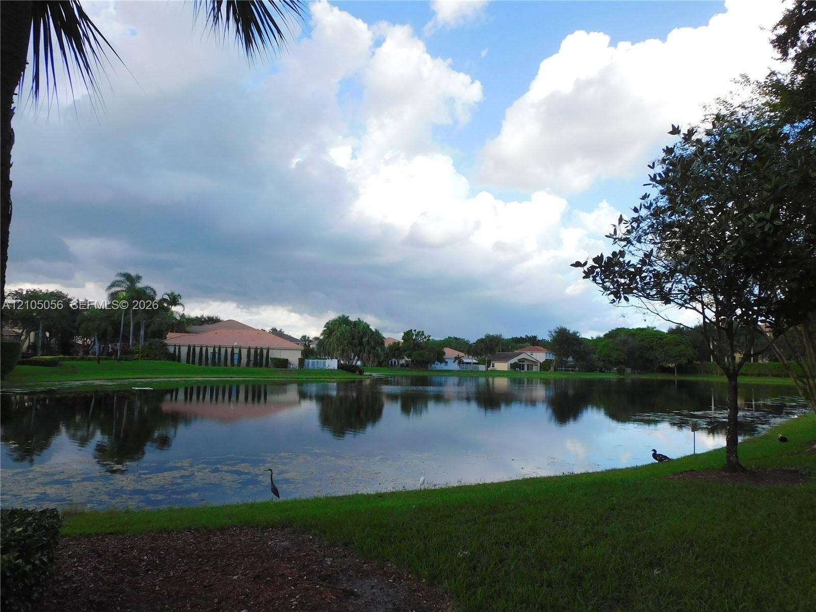 16729 Amber Lake, Weston, FL 33331 Expansive lake frontage with a manicured lawn and mature landscaping