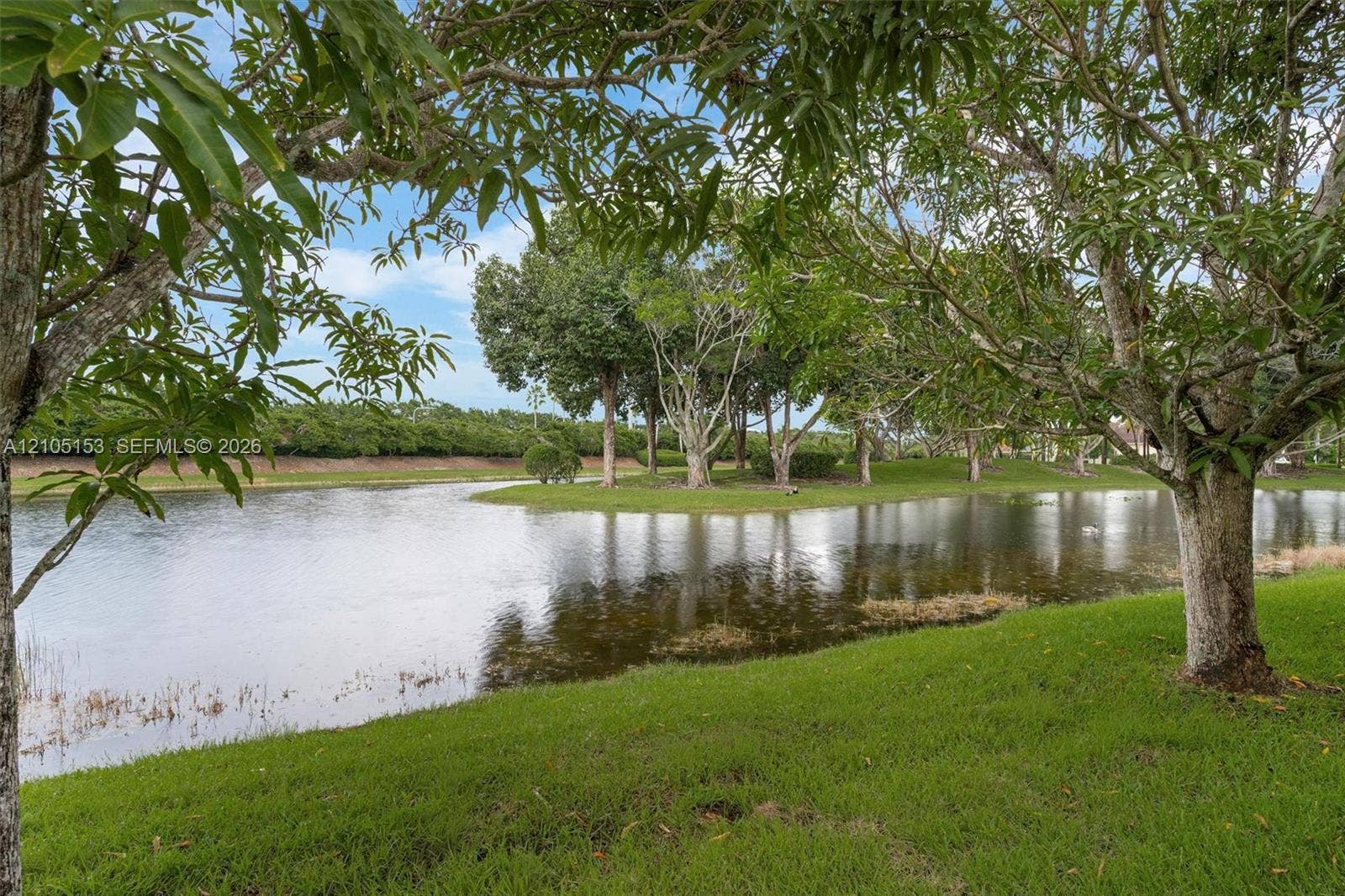 Expansive water feature with natural vegetation and surrounding green space