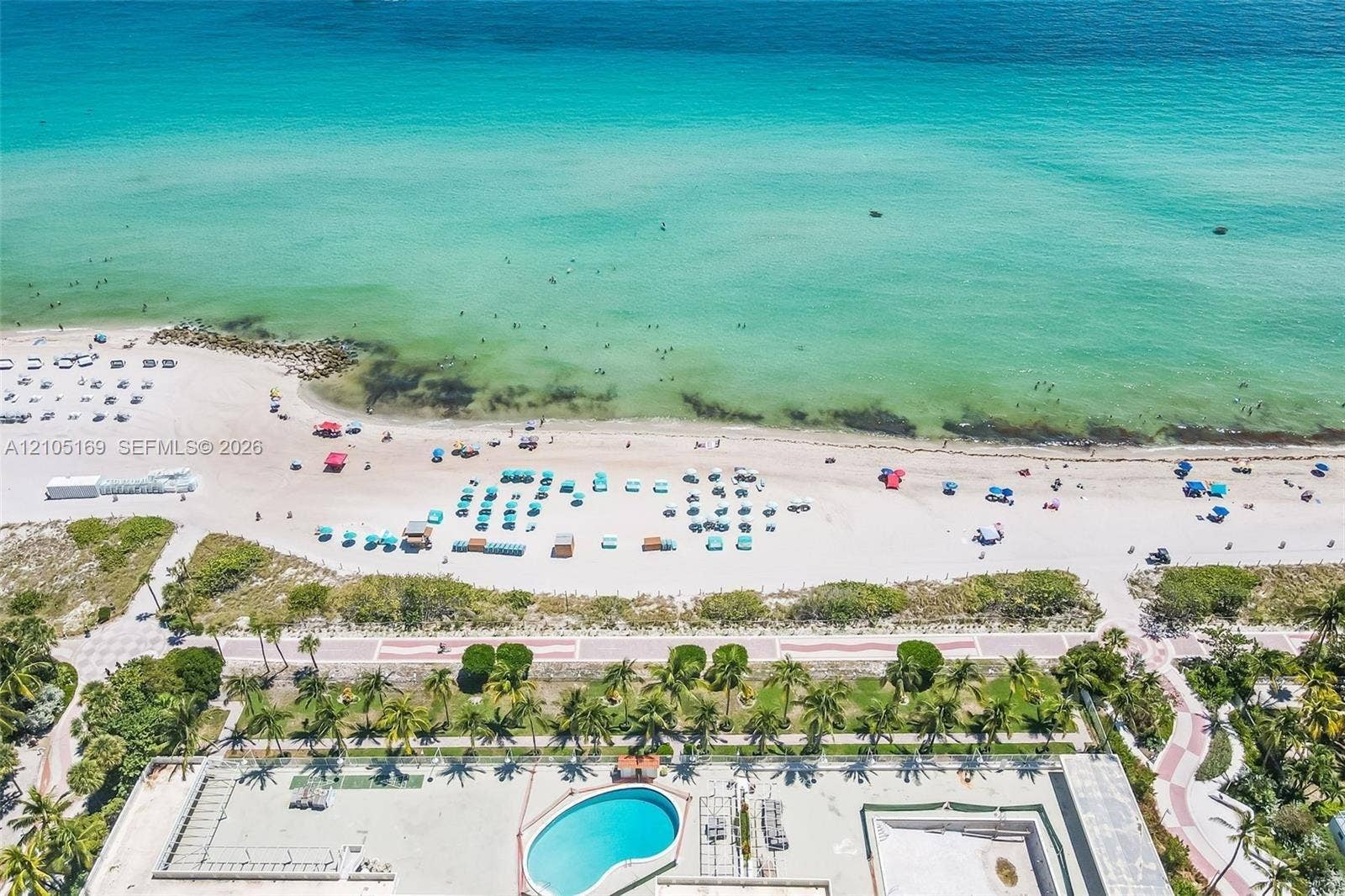 2899 Collins Avenue, #521, Miami Beach, FL 33140 Rooftop pool deck featuring an irregular-shaped pool