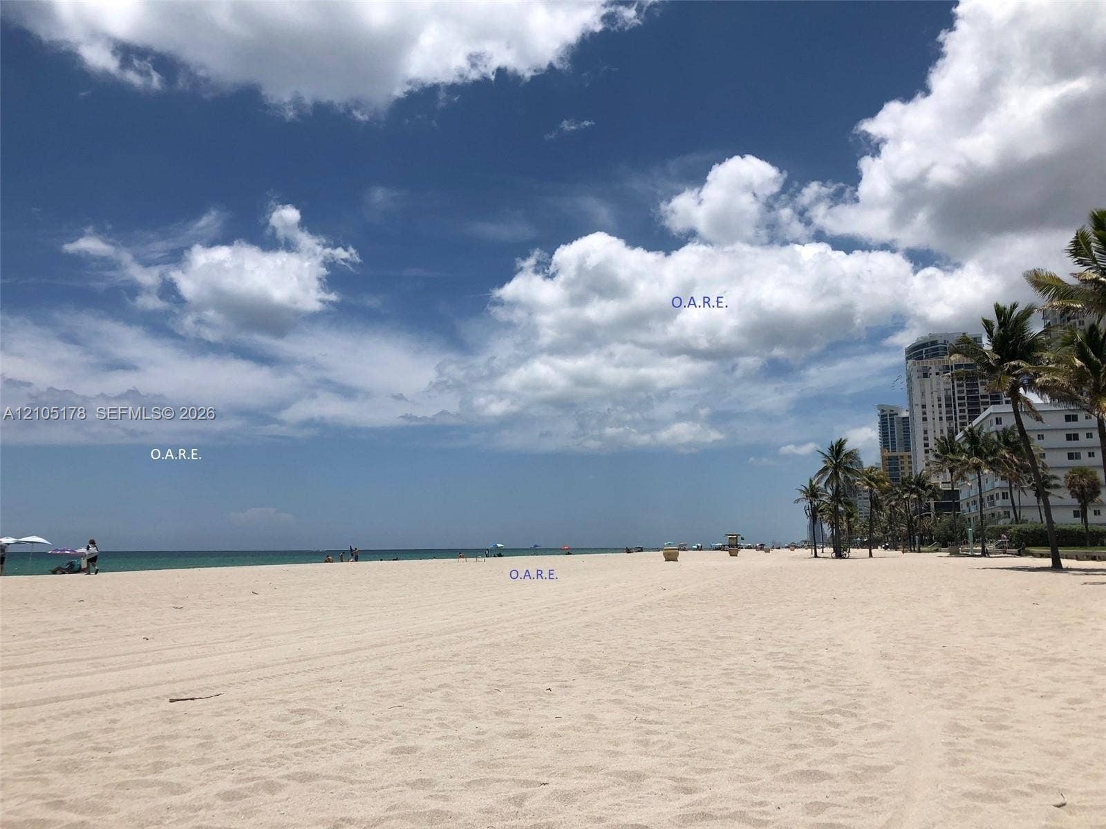3801 S Ocean Drive, #10G, Hollywood, Hollywood, FL 33019 Coastal shoreline featuring expansive sandy beach, ocean frontage, and mature palm trees