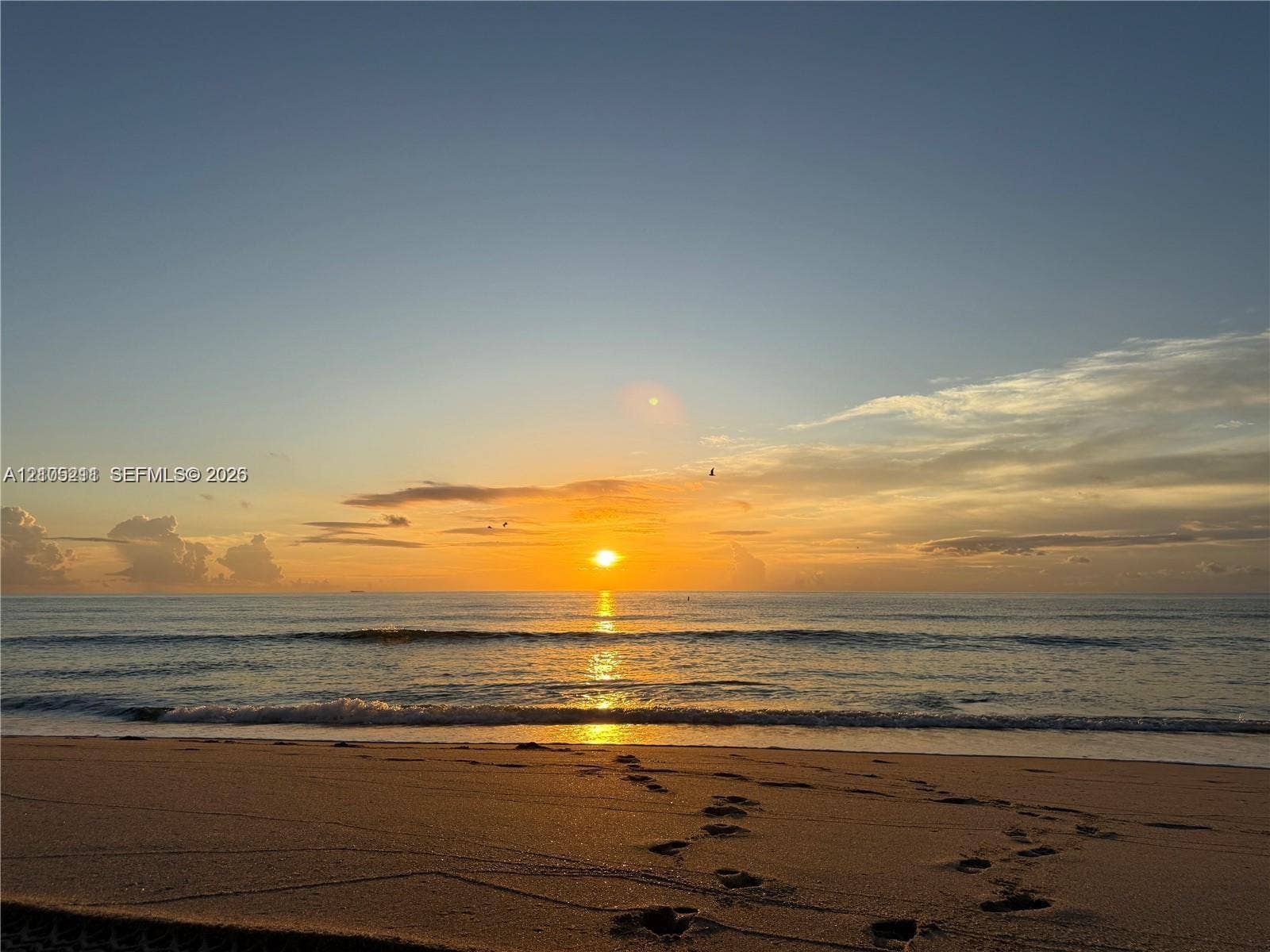 1801 S Ocean Drive, #243, Hallandale Beach, Hallandale Beach, FL 33009 Photo 1