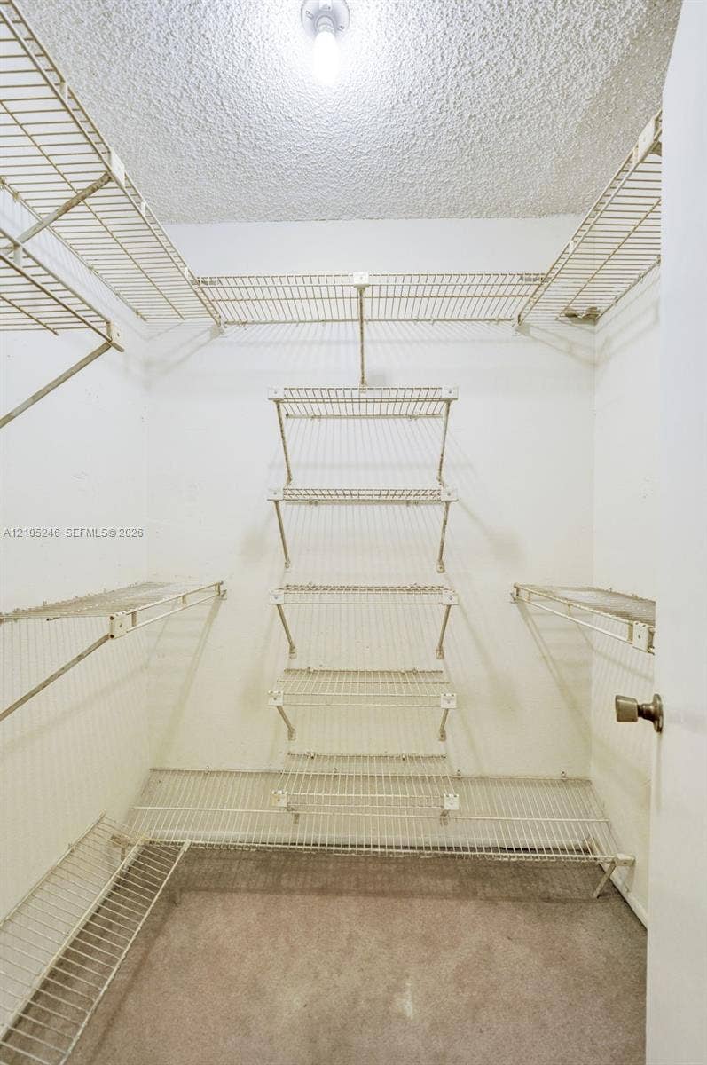 1400 Tallwood Avenue, #207, Hollywood, FL 33021 Walk-in closet featuring tiered white wire shelving, wall-mounted racks, neutral carpeting, and a central ceiling light fixture