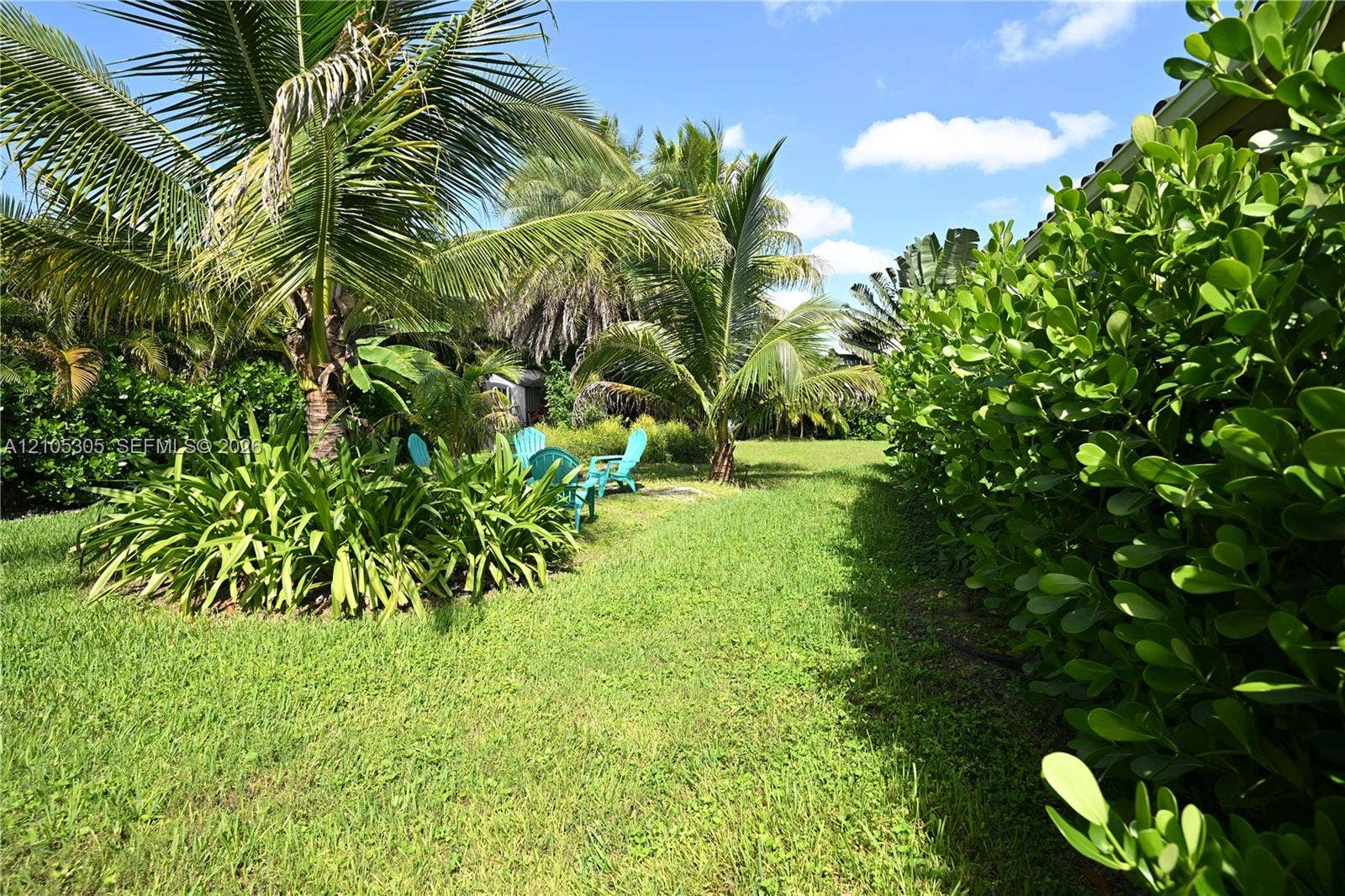 Lush tropical landscaping with mature palm trees and dense privacy hedging