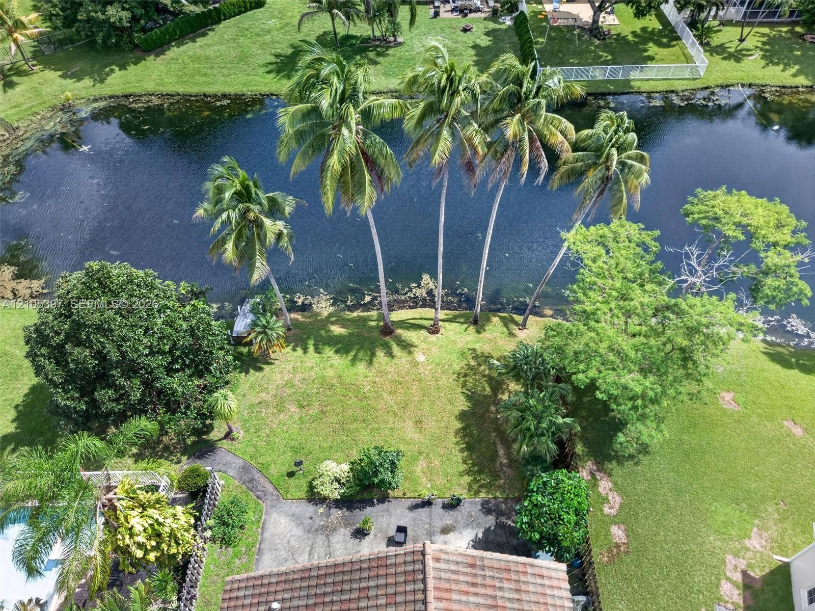 Backyard featuring mature palms, and direct water frontage