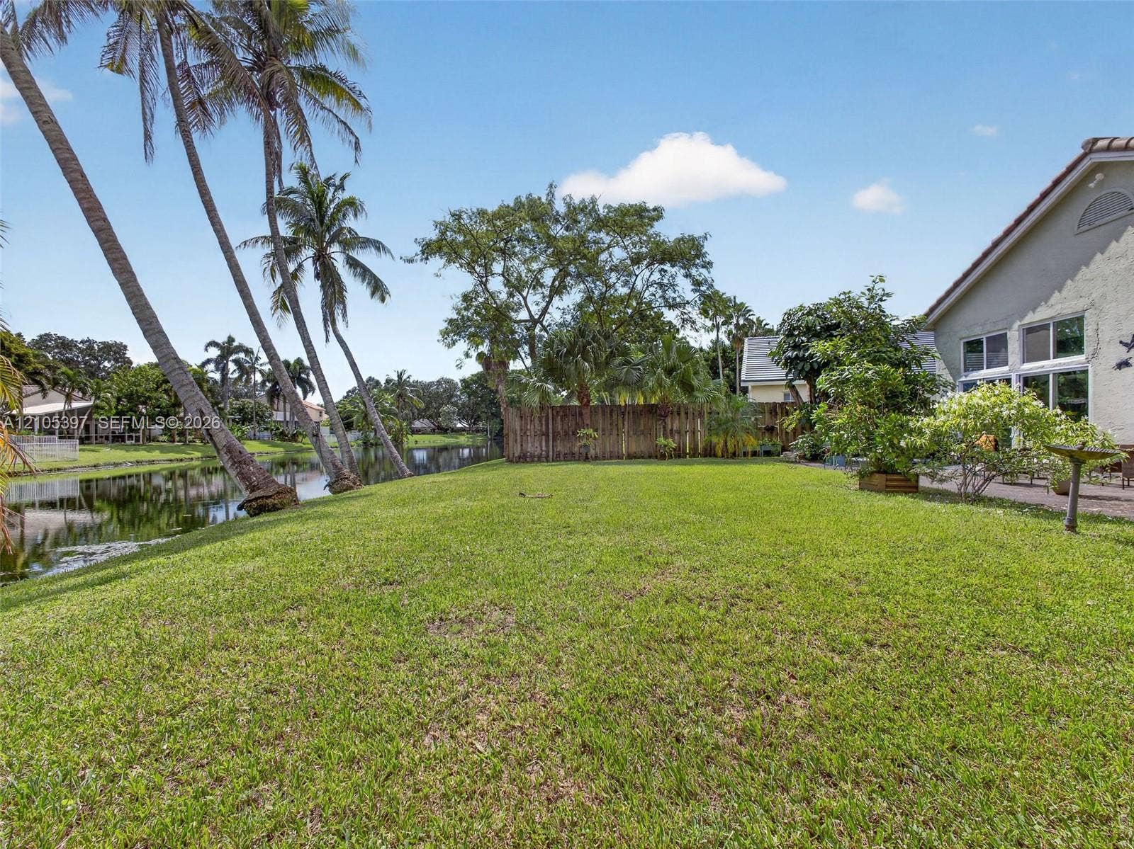 Expansive lawn area featuring mature palm trees, direct water frontage, and wood-panel privacy fencing