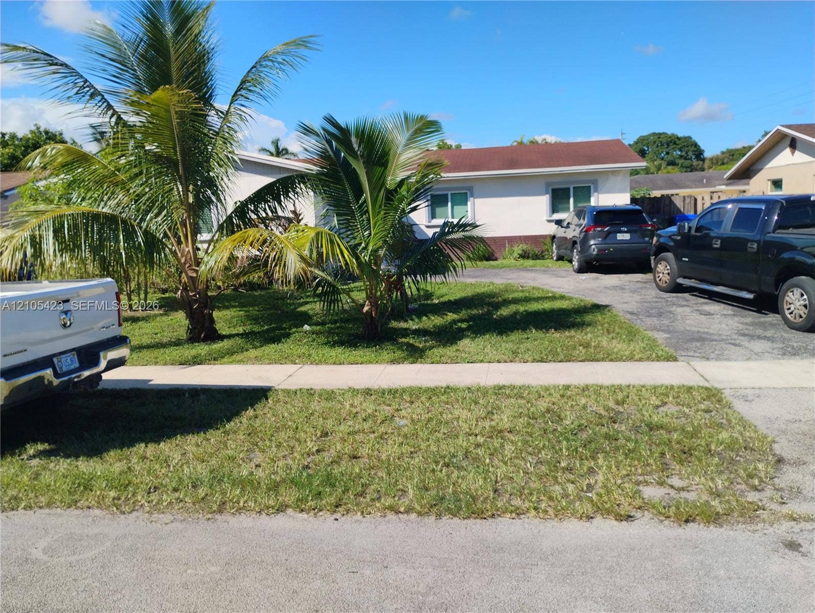 Spacious front-facing lot with mature palm trees and established landscaping