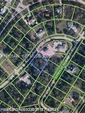 110 Ellison Avenue, Lake Placid, Lake Placid, FL 33852 Plat Map. Illustrating the property's parcel boundaries and surrounding land divisions