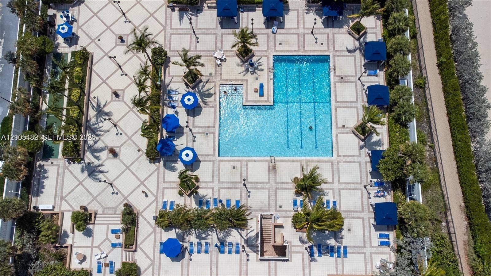 2100 S Ocean Lane, #808, Fort Lauderdale, FL 33316 Outdoor swimming pool featuring a geometric paver deck and integrated landscaping with mature palm trees