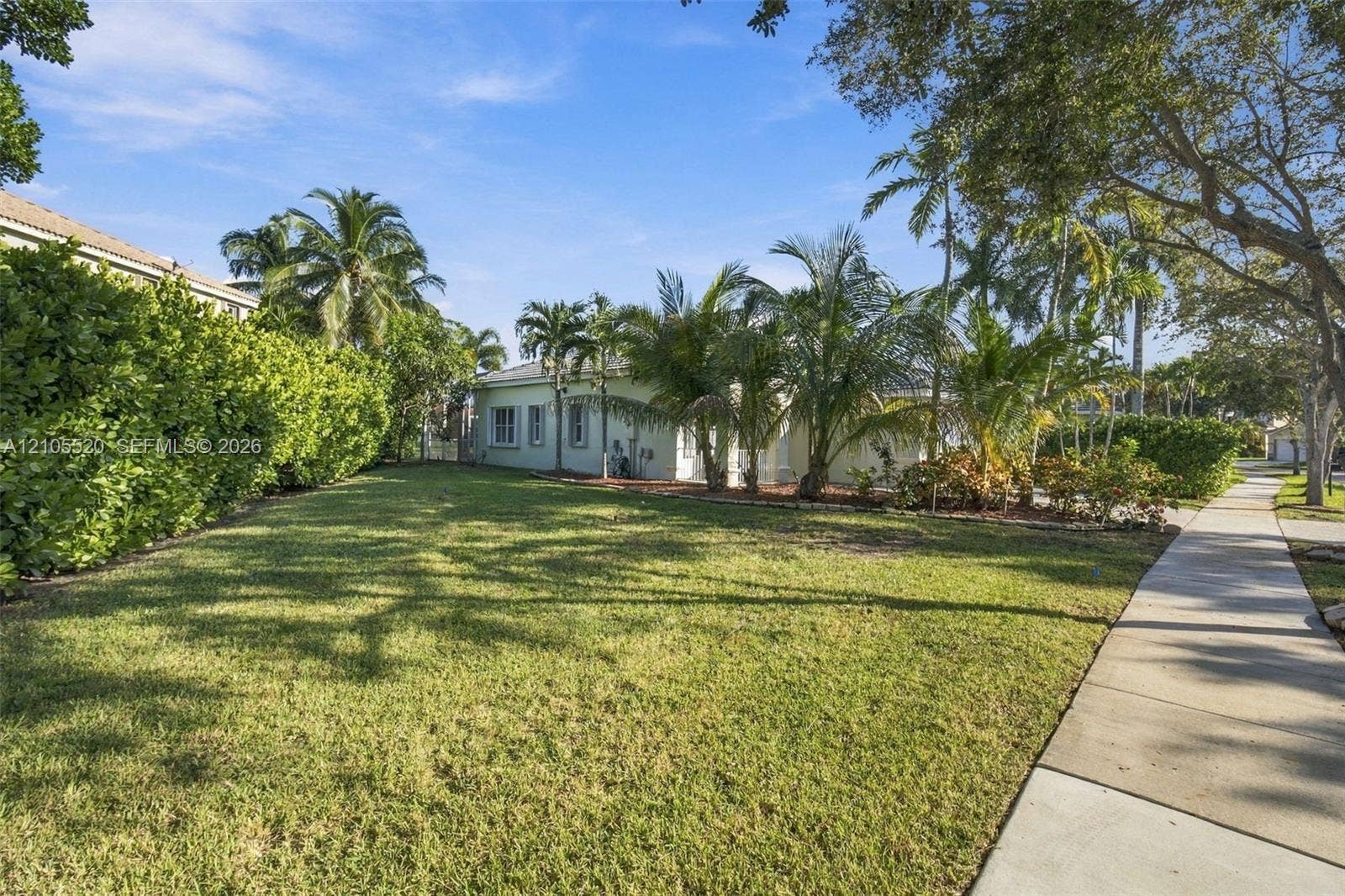 649 Willow Bend Road, Weston, Weston, FL 33327 Expansive lawn area featuring mature palm trees, dense peripheral privacy hedging, and a paved concrete walkway