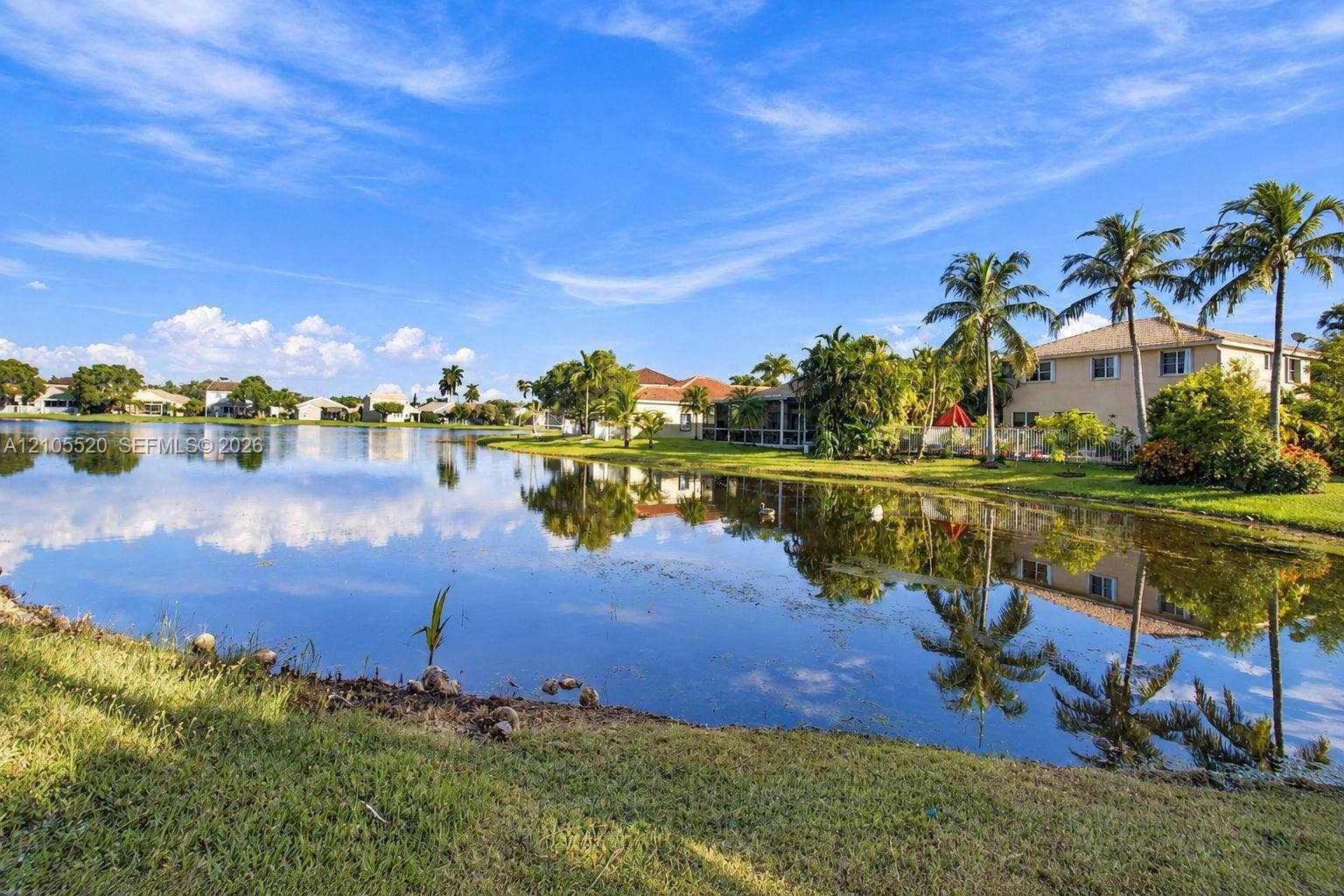 649 Willow Bend Road, Weston, Weston, FL 33327 Waterfront property featuring a manicured lawn, mature palm trees, and a lake