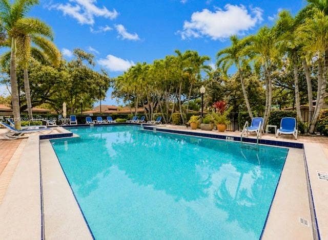 Swimming pool featuring a perimeter of mature palm trees, brick paver decking, and integrated pool ladders