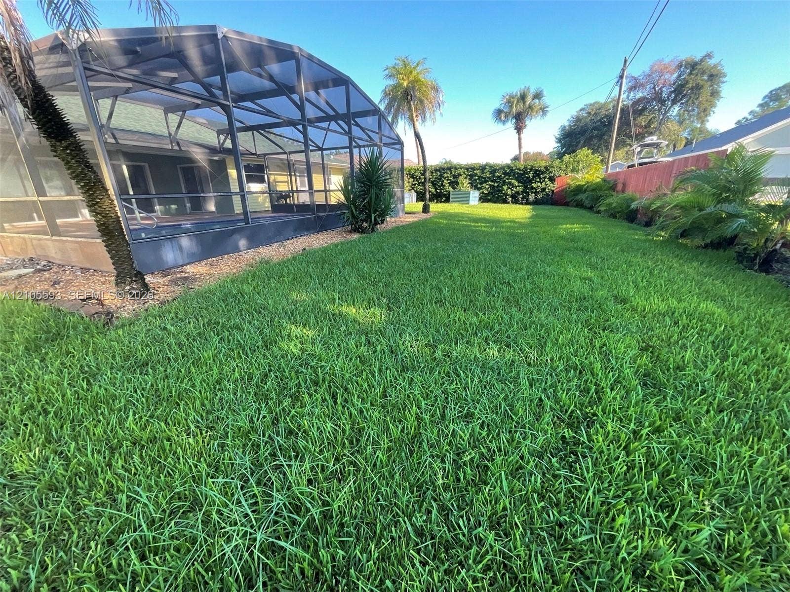 597 Grace Street, Sebastian, FL 32958 Expansive backyard featuring a screened-in lanai, manicured lawn, perimeter hedge, and mature palm trees