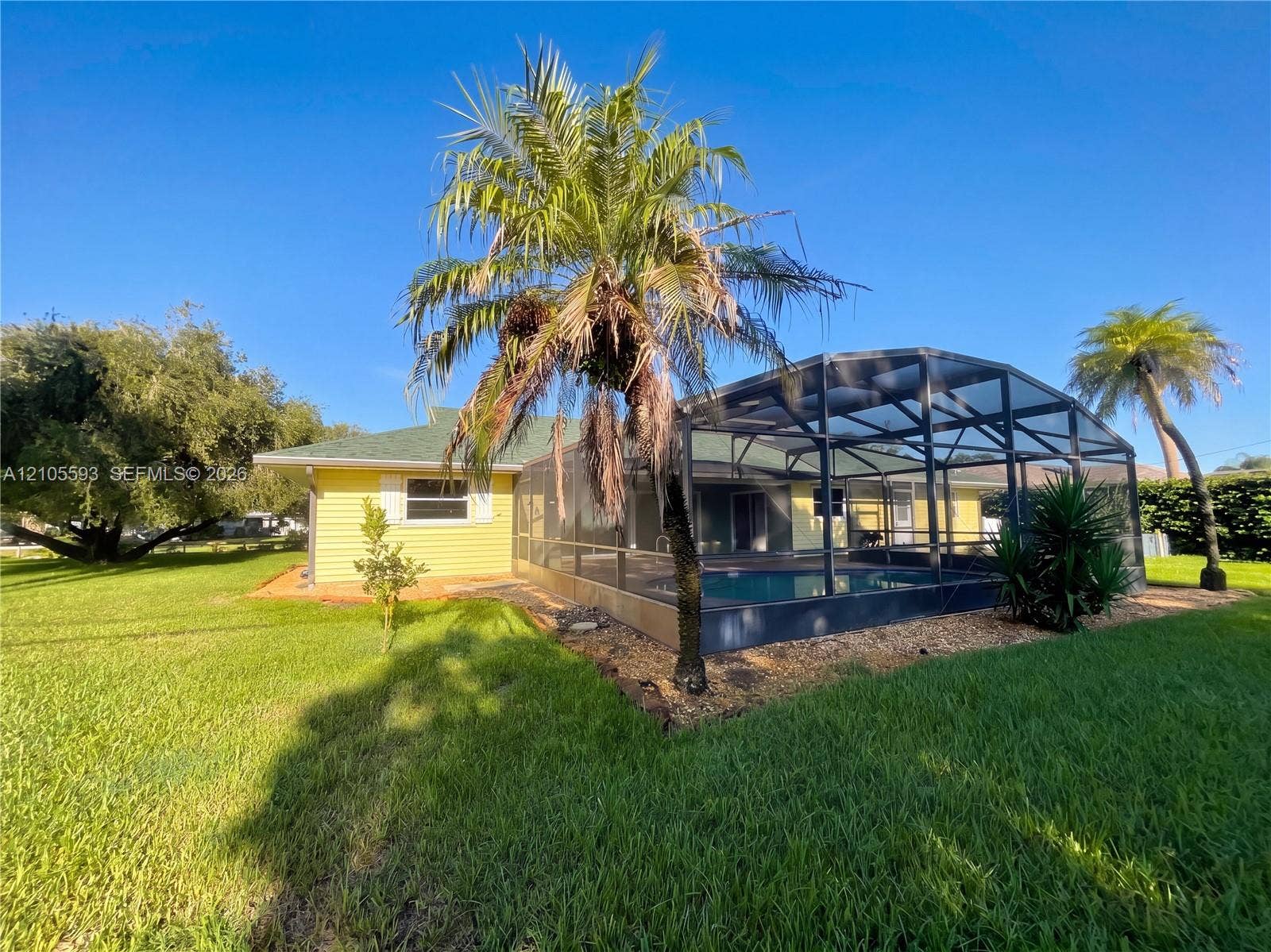 597 Grace Street, Sebastian, FL 32958 Exterior of the residence featuring light yellow lap siding, an enclosed screened-in pool, mature palm trees, and an expansive lawn