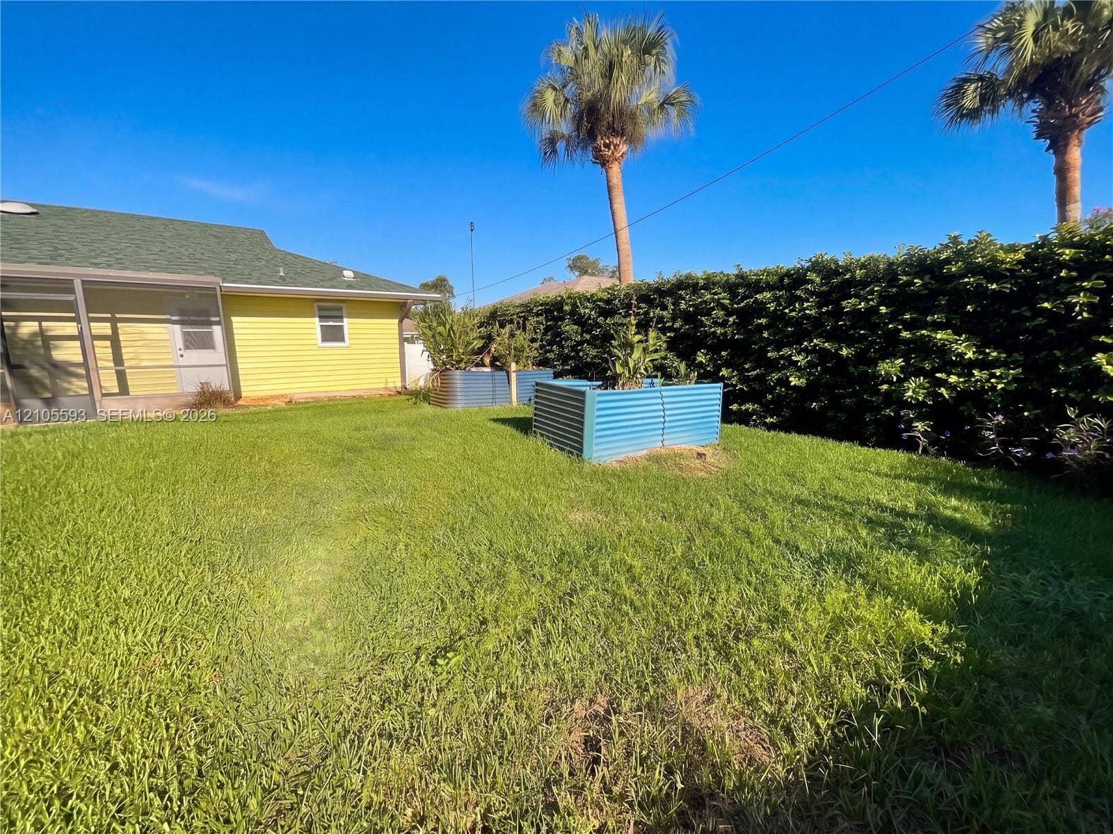 597 Grace Street, Sebastian, FL 32958 Backyard featuring a grass lawn, metal garden beds, and a perimeter hedge, complemented by an attached screened-in porch with horizontal siding