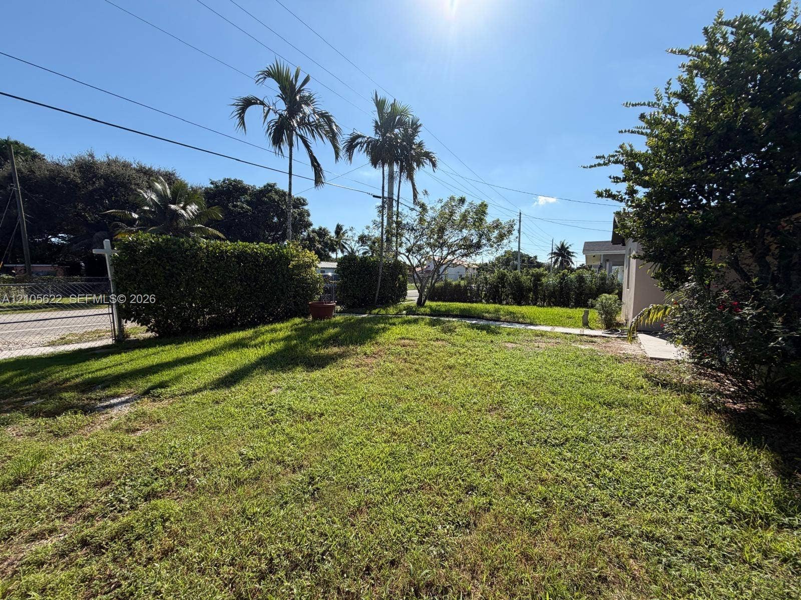 9728 Little River Drive, Miami, FL 33147 Expansive lawn featuring perimeter privacy hedges, mature palm trees, and concrete walkway