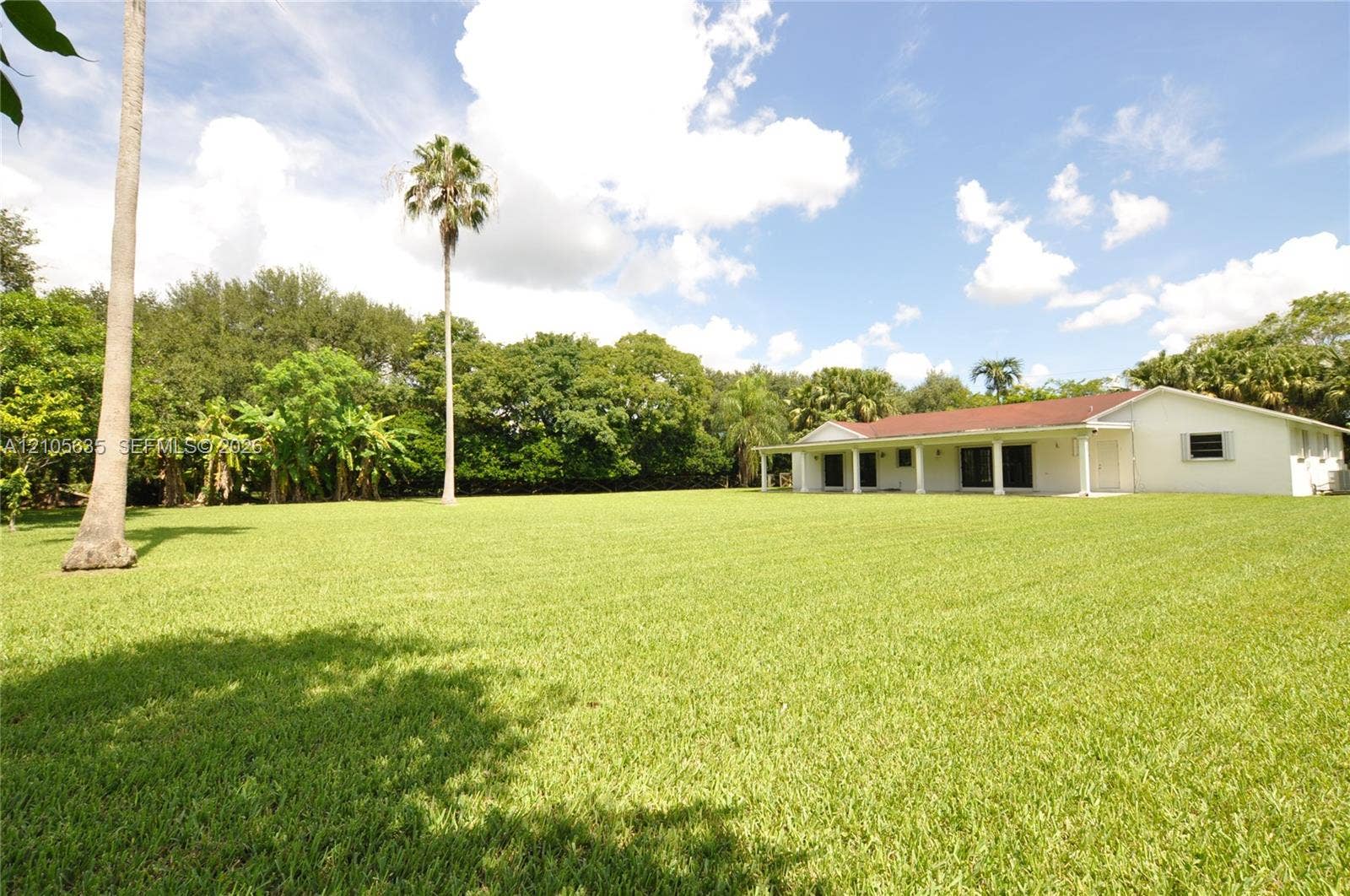 16760 SW 280th Street, Homestead, FL 33031 Expansive lot featuring a manicured lawn, mature trees, palm trees, and a residence with a covered patio