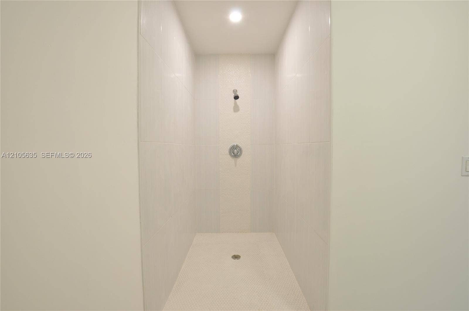16760 SW 280th Street, Homestead, FL 33031 Walk-in shower featuring large-format wall tile, mosaic tile accent inlay, circular shower head, and recessed ceiling lighting