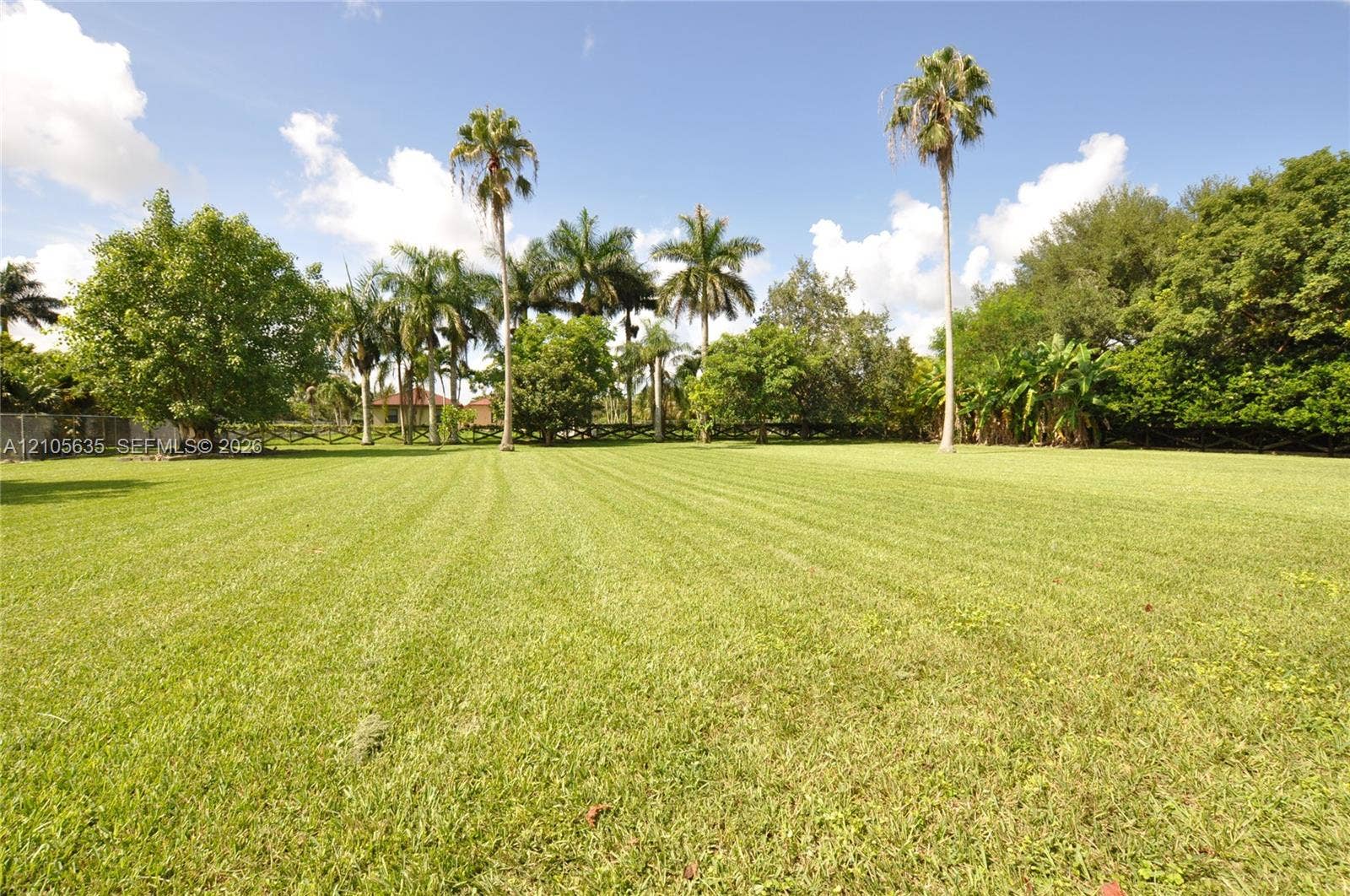 16760 SW 280th Street, Homestead, FL 33031 Expansive lawn area featuring mature palm trees, dense perimeter vegetation, and wood-rail fencing