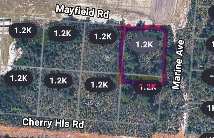 Property photo for 25153 Marine Avenue, Sebring, FL