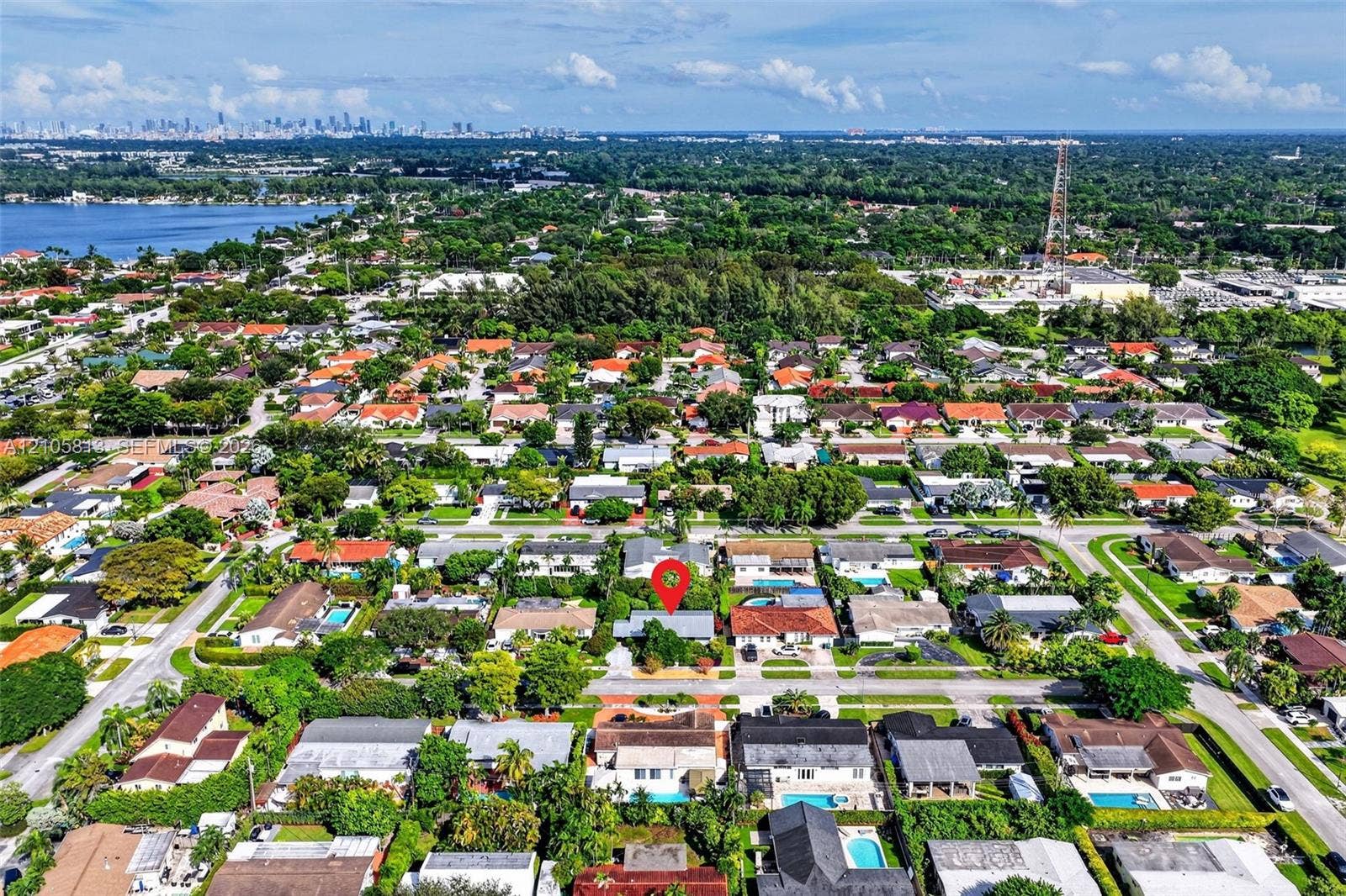 Aerial perspective of a residential neighborhood featuring mature canopy trees, proximity to a large body of water, and a distant urban skyline
