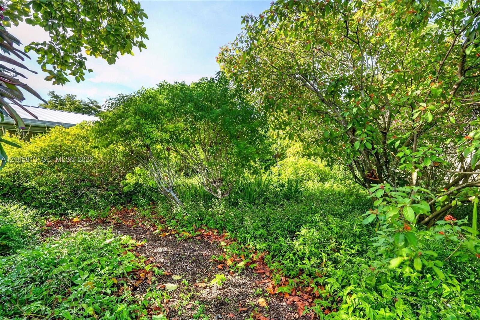 Outdoor space featuring established mature trees, dense greenery, and a ground-level mulch pathway