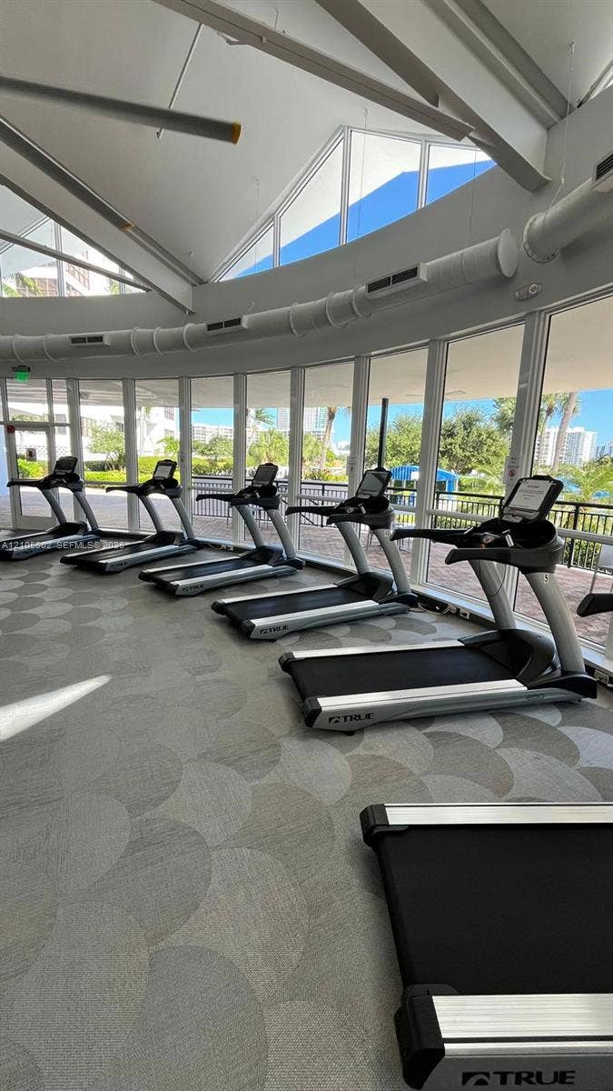 600 Three Islands Boulevard, #913, Hallandale Beach, Hallandale Beach, FL 33009 Fitness room featuring floor-to-ceiling windows, high vaulted ceilings, and patterned commercial-grade carpeting