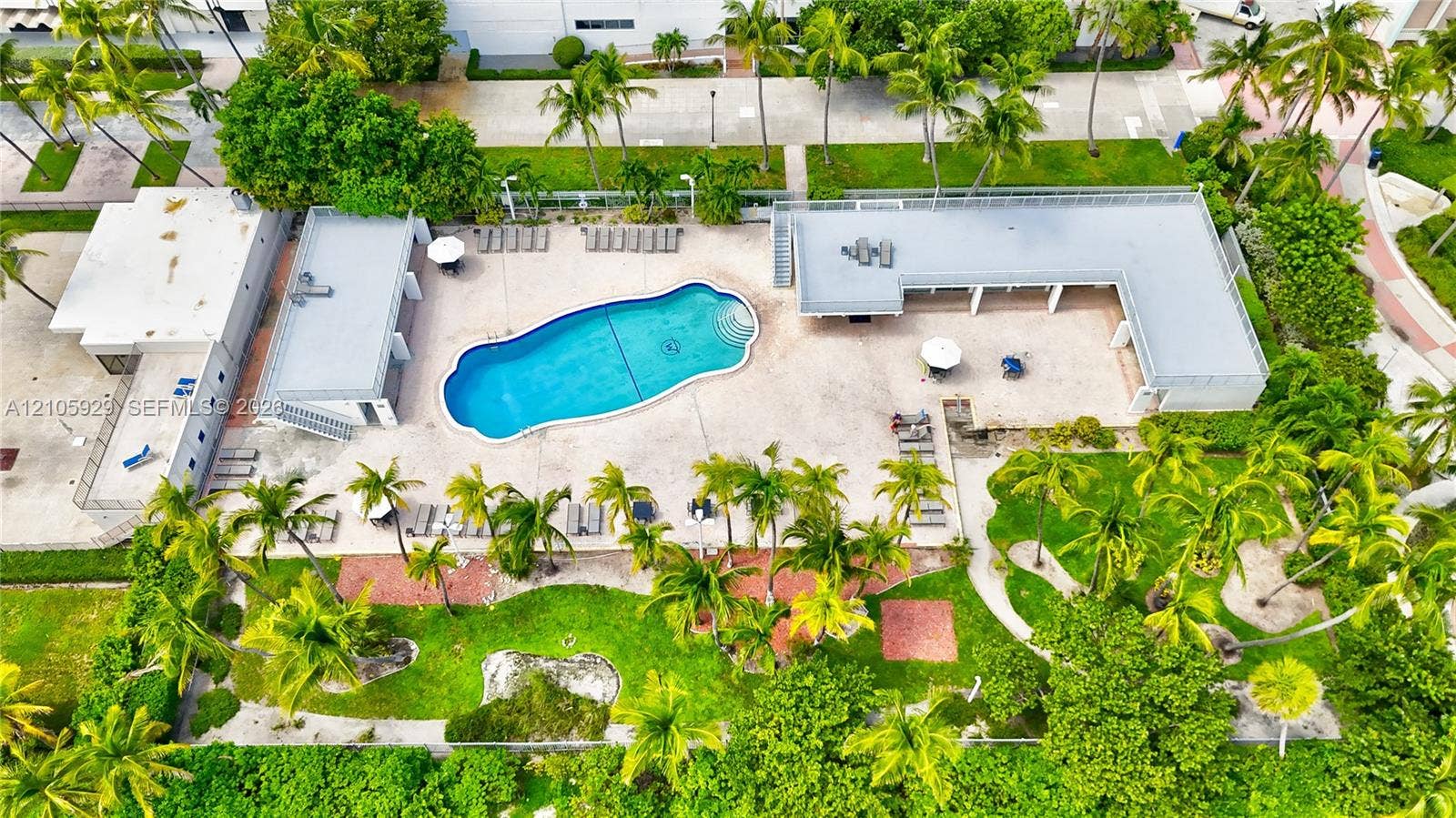 2655 Collins Avenue, #2301, Miami Beach, FL 33140 Outdoor recreational area featuring a large swimming pool, expansive paved patio, landscaped green space, and mature palm trees