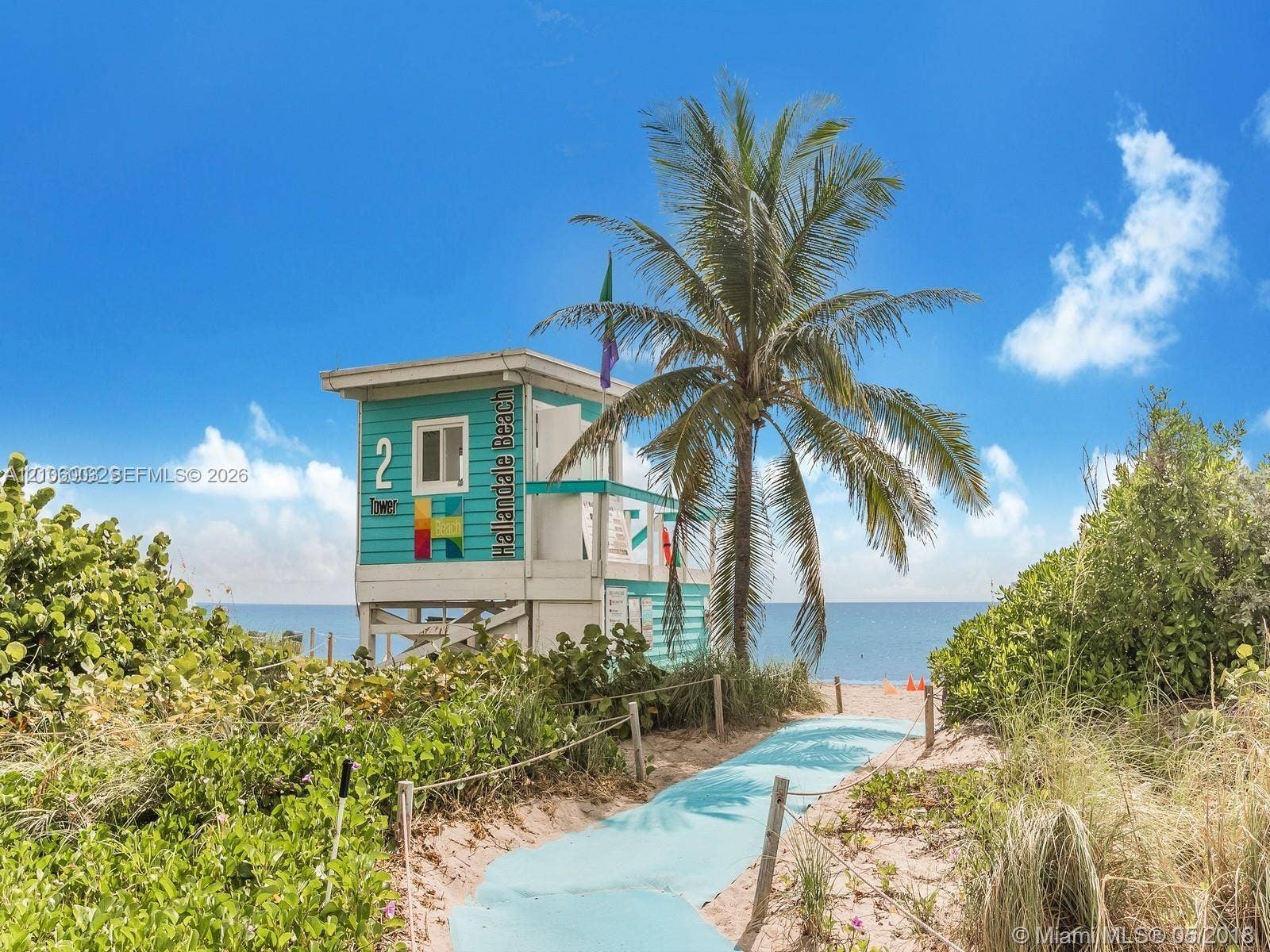 1850 S Ocean Drive, #3309, Hallandale Beach, Hallandale Beach, FL 33009 Coastal pathway featuring a paved walkway, mature palm tree, and native greenery leading toward the shoreline