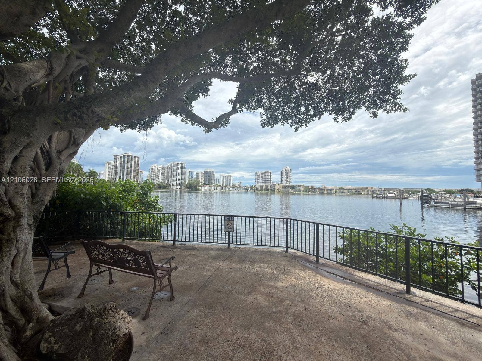 2780 NE 183rd Street, #1605, Aventura, FL 33160 Waterfront terrace featuring a concrete patio, mature tree, and black metal perimeter fencing