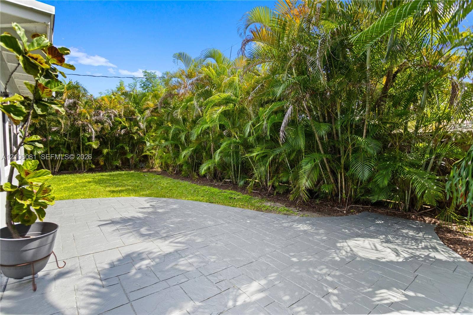 Backyard space featuring a stamped concrete patio, manicured lawn, and dense palm vegetation