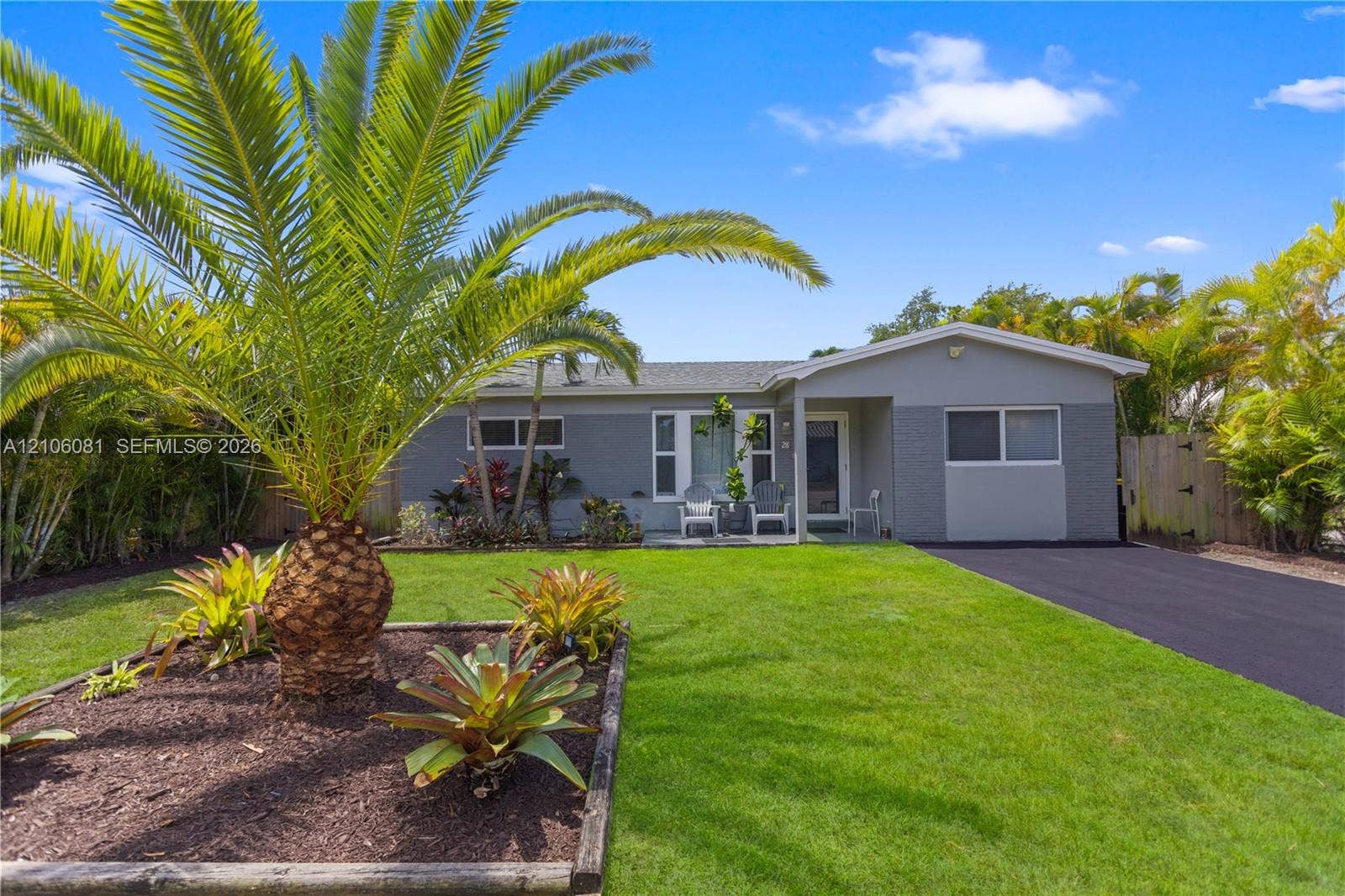 Single-story exterior featuring painted masonry siding, a covered front entry, an asphalt driveway, and established landscaping with mature palm trees