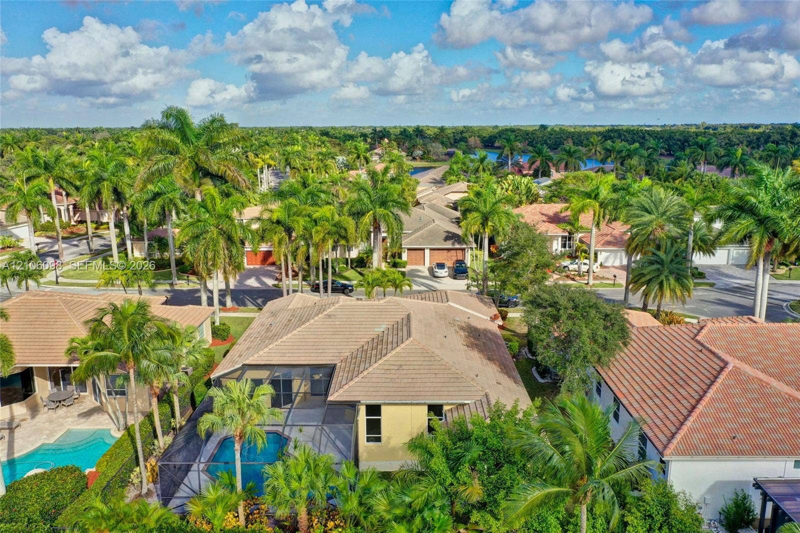 Aerial perspective featuring a tile roof, screened-in swimming pool, mature palm trees, and hardscaped driveway