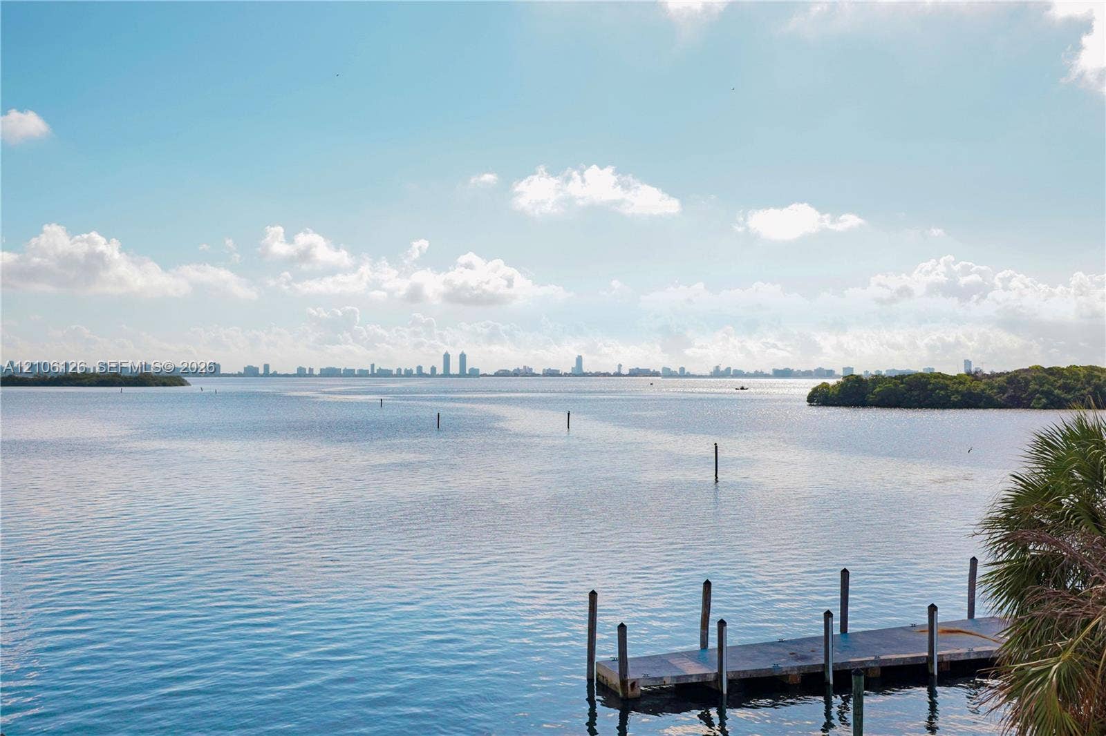 Waterfront property featuring a private wooden dock, mature palm foliage, and coastal scenery