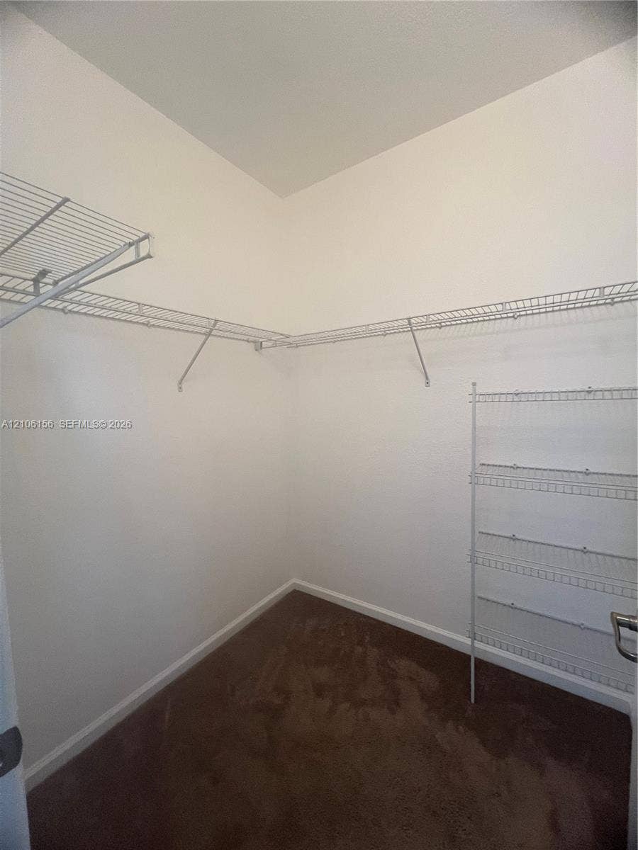 Walk-in closet featuring wall-to-wall carpeting and white vinyl-coated wire shelving systems