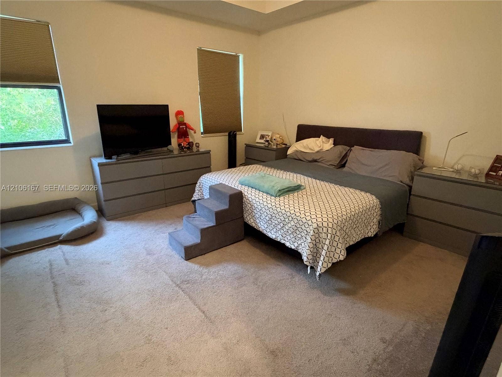 3277 W 100th Terrace, Hialeah, FL 33018 Bedroom featuring neutral wall-to-wall carpeting, a tray ceiling, and dual windows with fitted shades