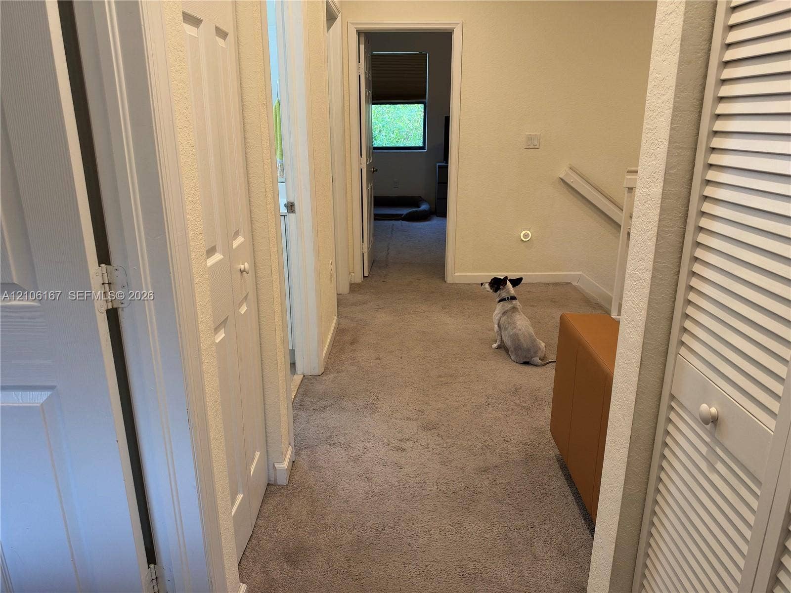 3277 W 100th Terrace, Hialeah, FL 33018 Hallway featuring carpeted flooring and dual sets of white louvered closet doors