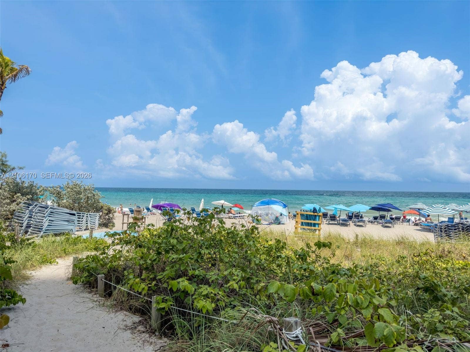 4001 S Ocean Drive, #12B, Hollywood, Hollywood, FL 33019 Sandy pathway through native coastal vegetation providing direct oceanfront access to a sand beach