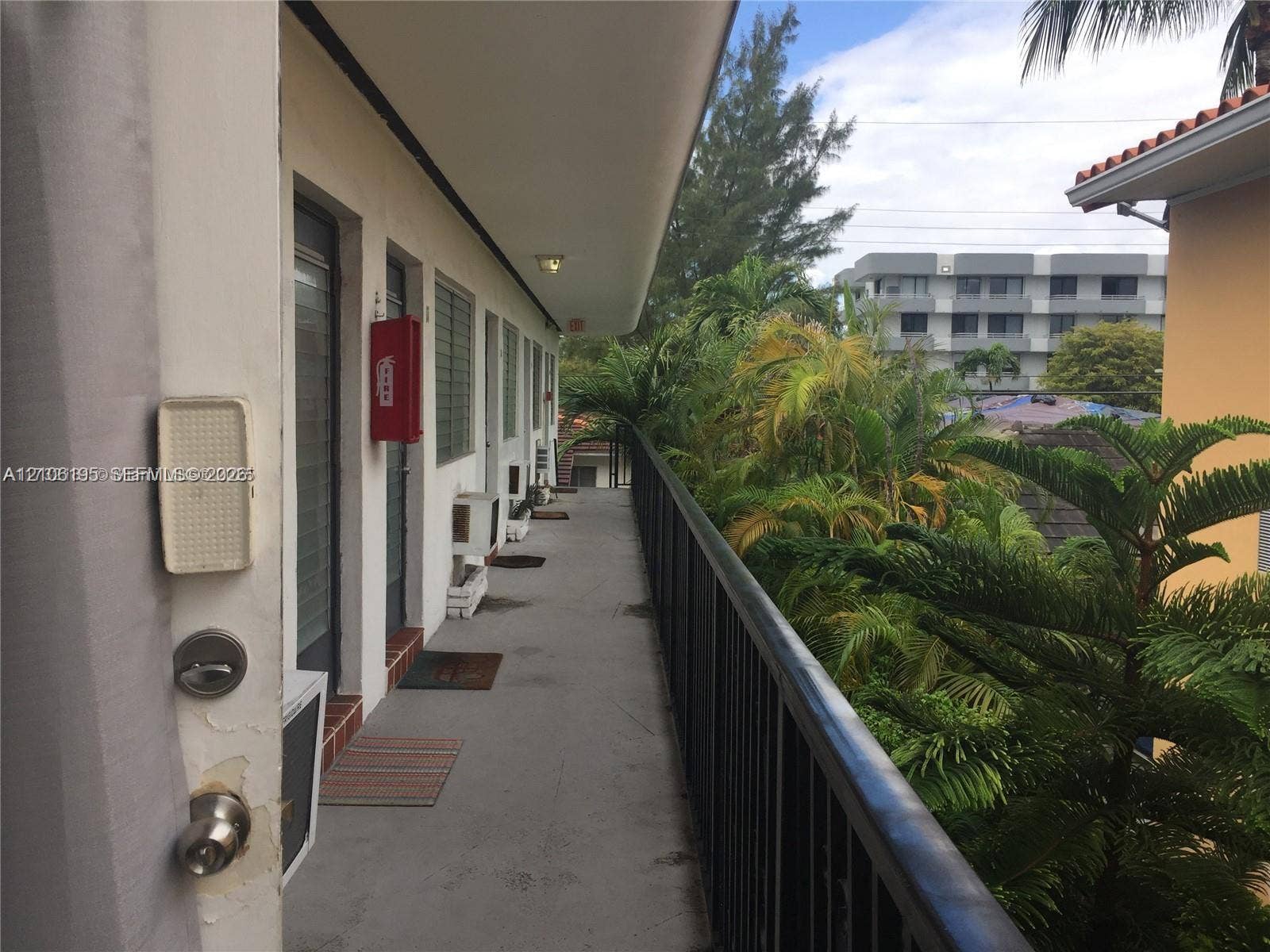 8132 Harding Avenue, #11, Miami Beach, Miami Beach, FL 33141 Exterior walkway featuring a concrete surface, metal railing, and overhead lighting, accented by mature palm trees and lush tropical foliage