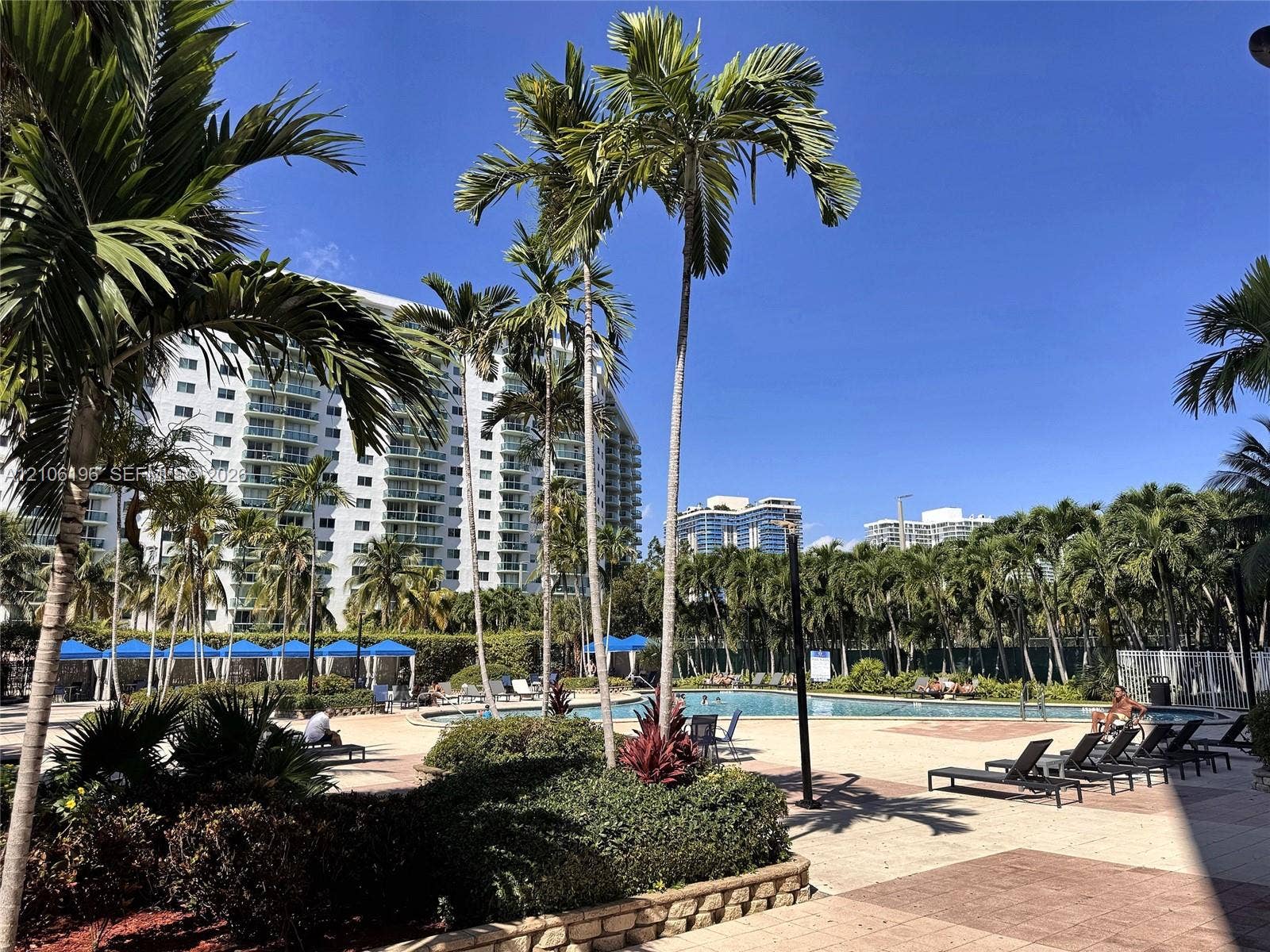 Swimming pool with concrete deck, surrounded by mature palm trees and landscaped shrubbery