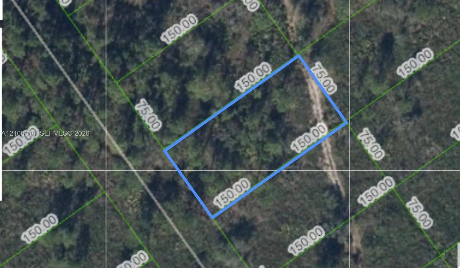 Property Survey. Illustrating the plot boundaries and dimensions of the property