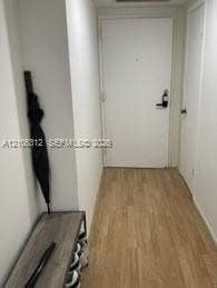 Interior entry featuring wood-finish flooring and solid core entry door
