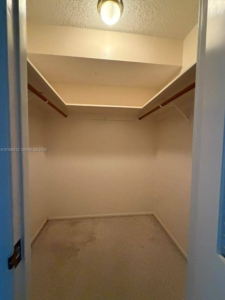 Walk-in closet featuring carpet flooring, dual hanging rods, built-in shelving, and a mounted ceiling light fixture