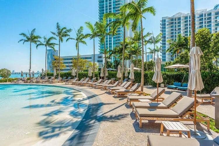 480 NE 31st Street, #1404, Miami, FL 33137 Resort-style pool with a zero-entry edge, surrounded by mature palm trees and extensive stone-paver decking