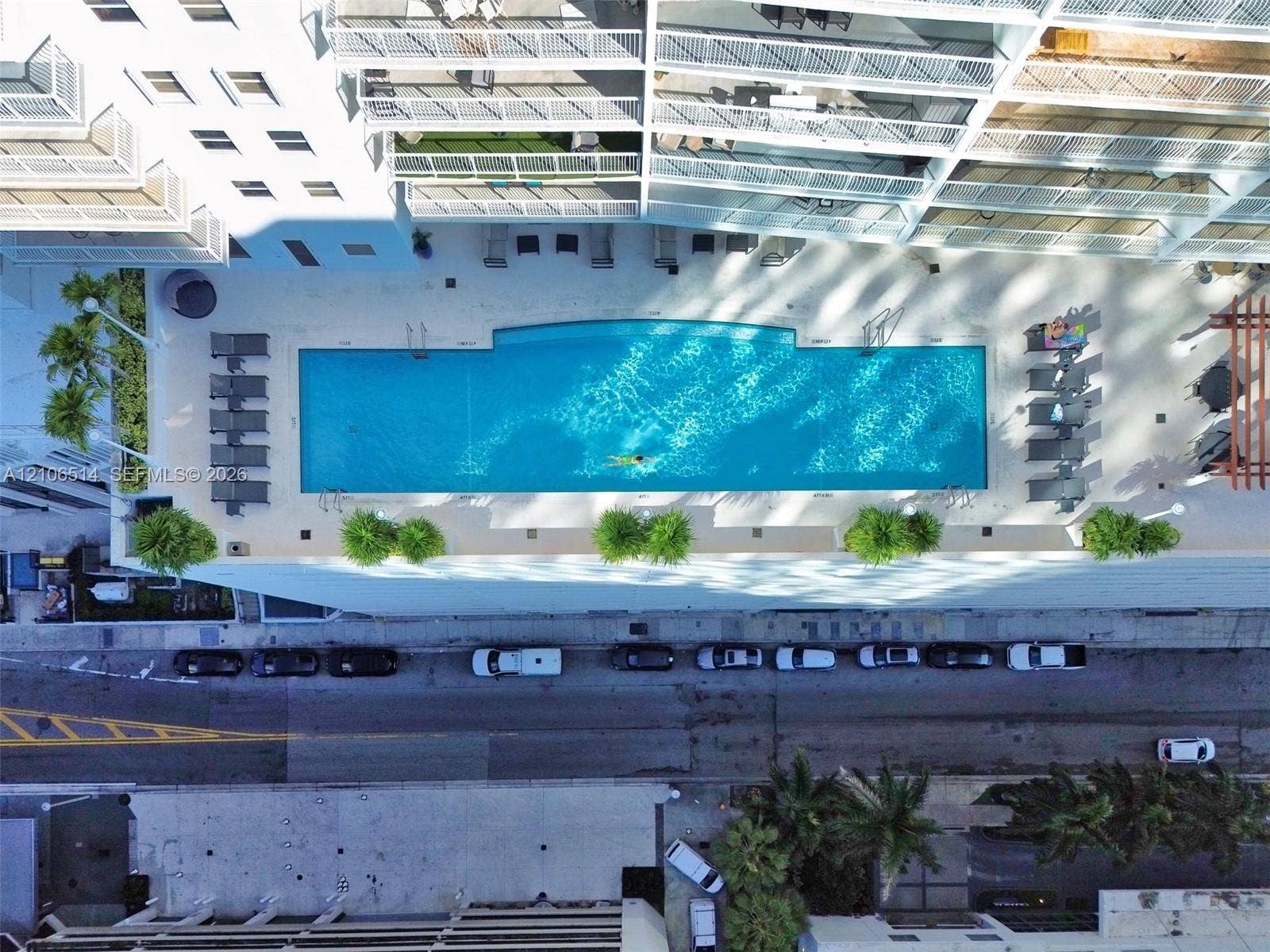 Rectangular swimming pool featuring a paved pool deck, perimeter landscaping, and a pergola structure