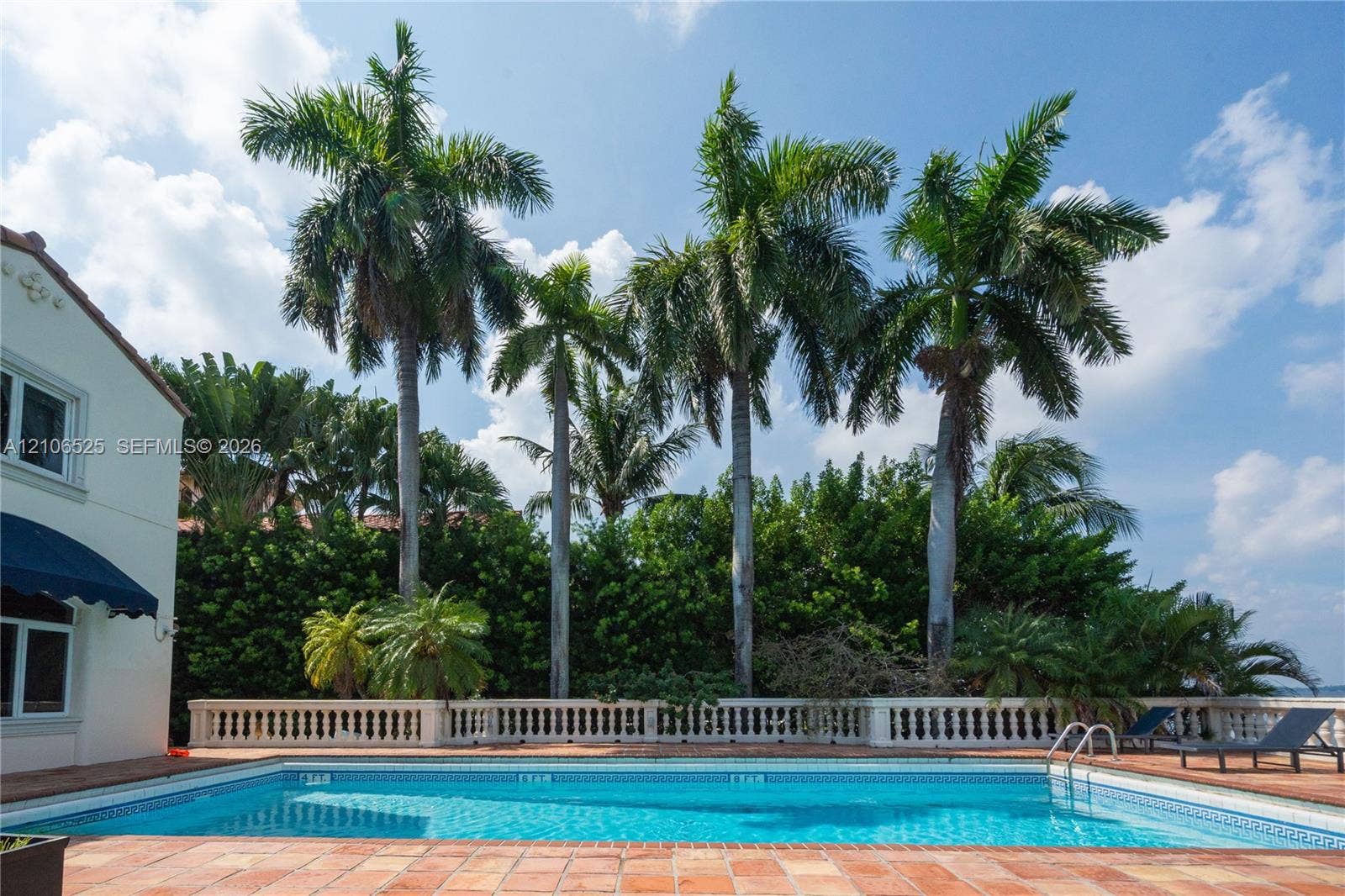 4760 N Bay Road, Miami Beach, FL 33140 Rectangular swimming pool surrounded by a terracotta tile patio, enclosed by a classic stone balustrade, and bordered by mature palm trees and lush privacy hedging