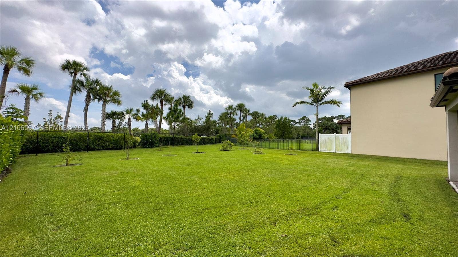 Expansive backyard featuring a manicured lawn, established palm trees, hedge landscaping, and perimeter fencing