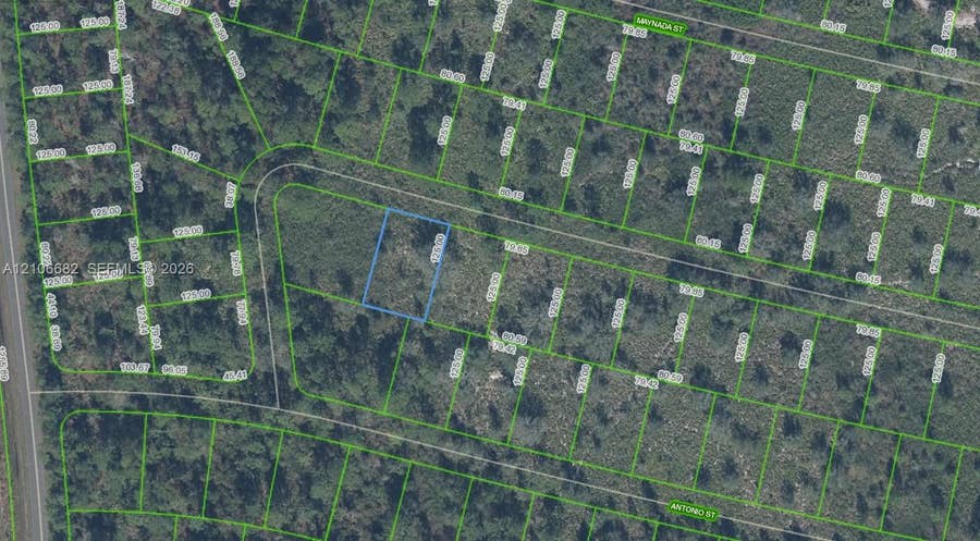 Property photo for 8729 Cicely Drive, Sebring, FL