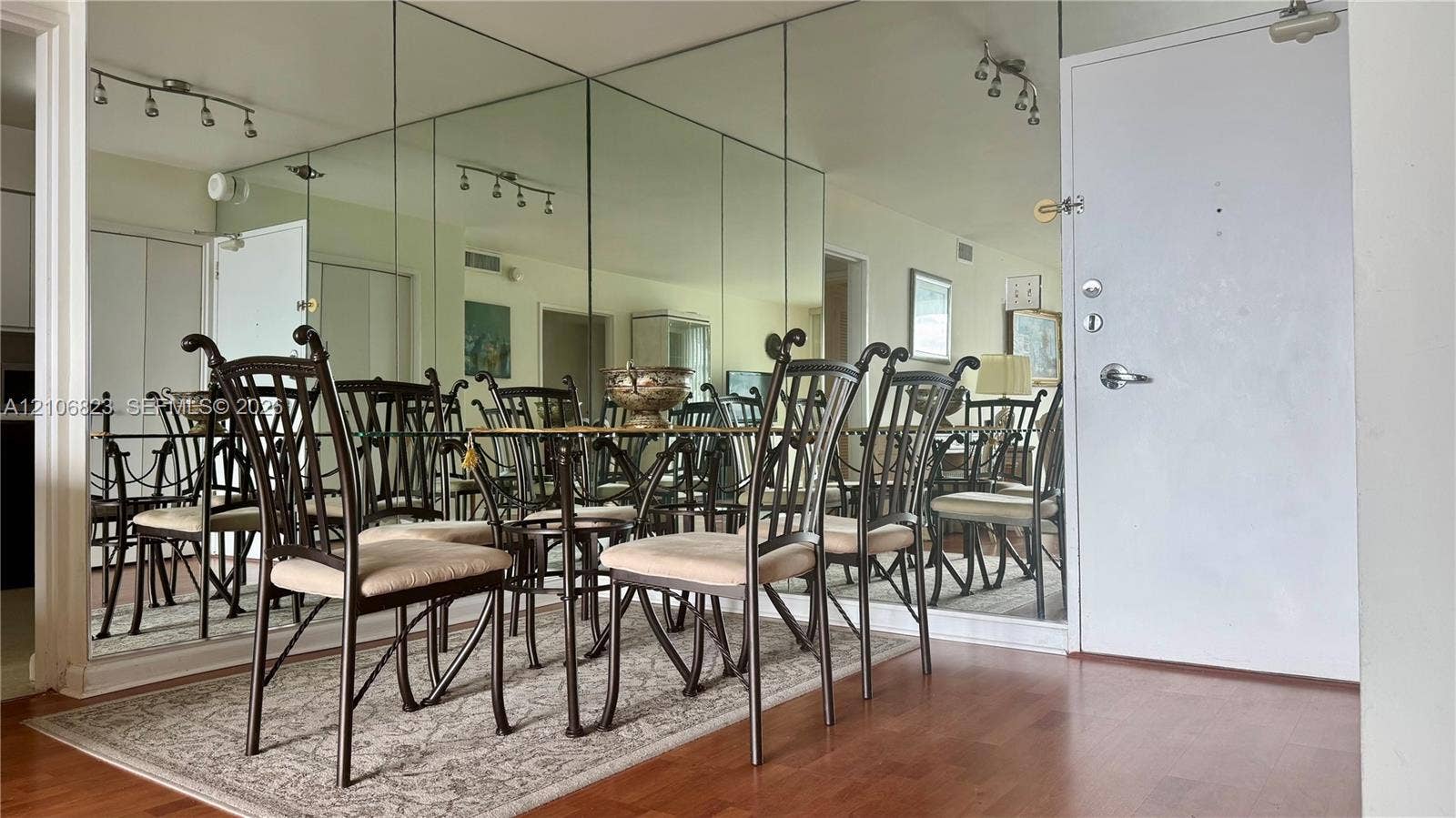 Wall-to-wall mirrored accent wall, wood-finish flooring, and track lighting