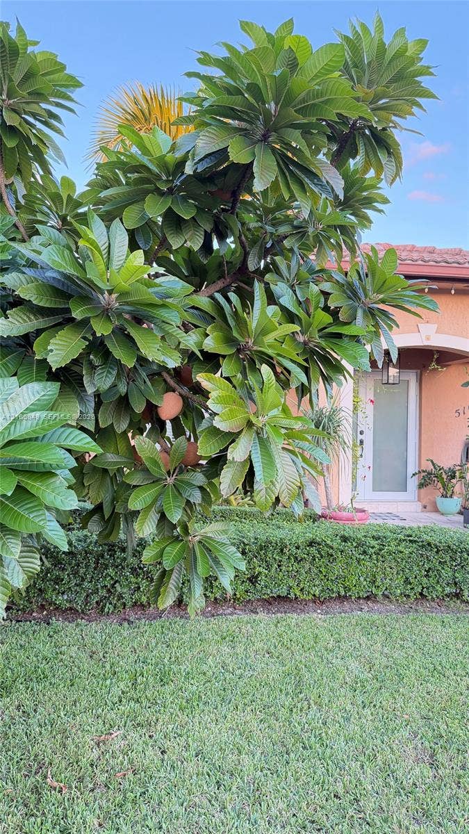 5165 SW 158th Avenue, Miami, FL 33185 Photo 8