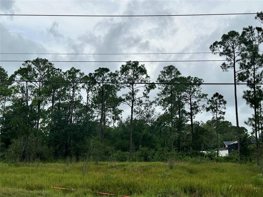 Property photo for 5605 Longwood Road, Sebring, FL